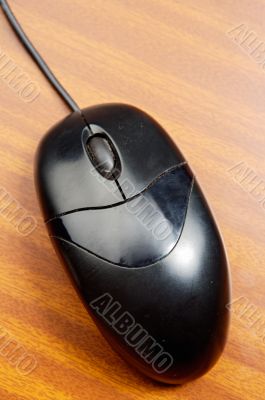 mouse of computer