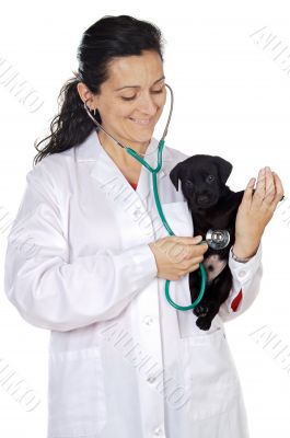 Attractive lady veterinarian