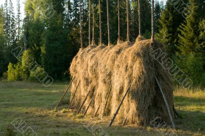Hay. The nature. Object. Hay. The nature. Object.