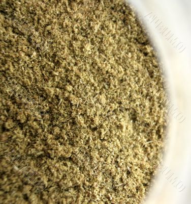 Oregano