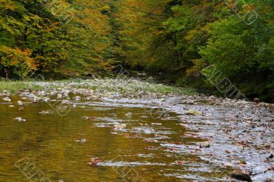 Mountain River in autumn