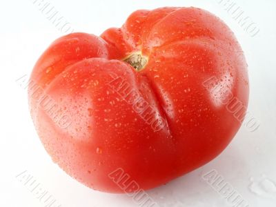 Real Tomato.