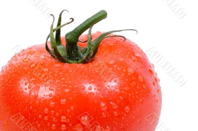 Delicious Vine Ripe Tomato