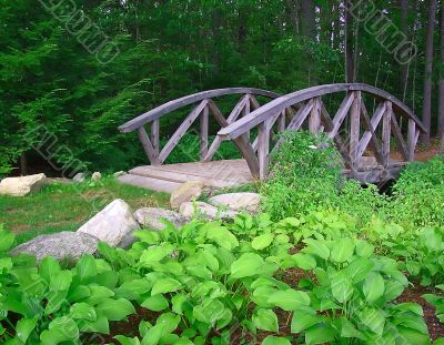 Bridge in the Woods