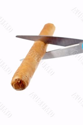 Cutting a cuban cigar with the scissors