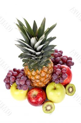 Fruits