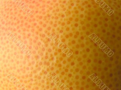 Skin of a grapefruit.