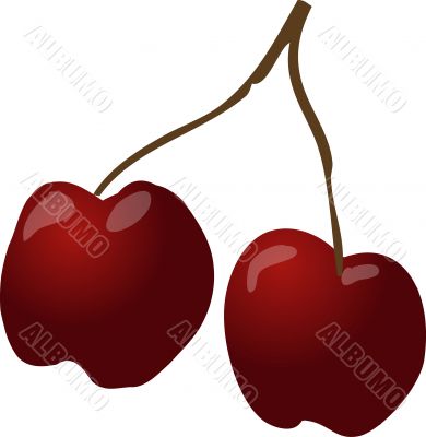 Cherries sketch