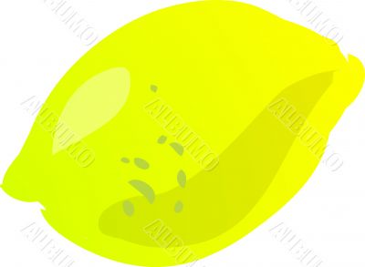Lemon sketch Lemon sketch
