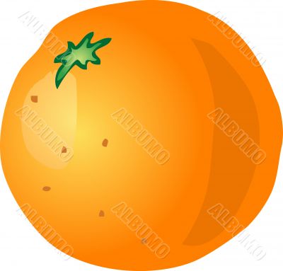 Orange sketch