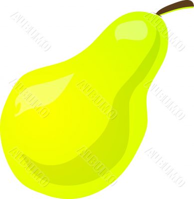 Pear sketch