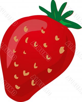 Strawberry sketch
