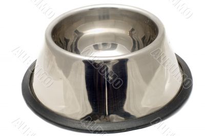 bowl for dog
