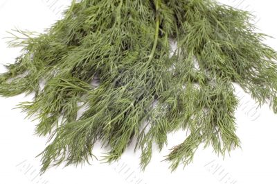 dill on white