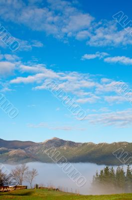 Landscape in the early morning fog