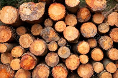 Logs stacked