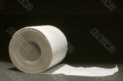 toilet paper
