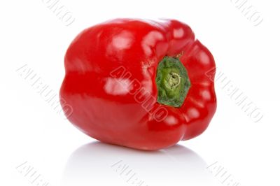 Red pepper Red pepper