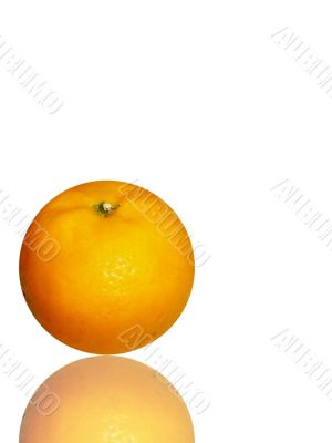 fresh and juicy orange on white