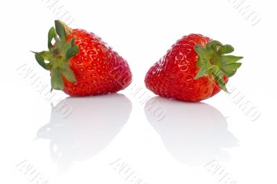 Two fresh and tasty strawberries Two fresh and tasty strawberries