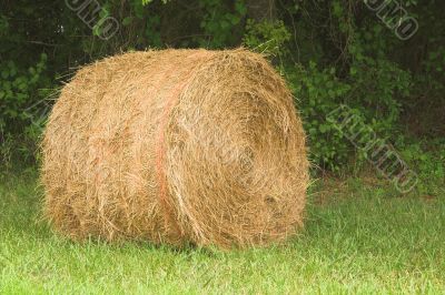 Hay Bale