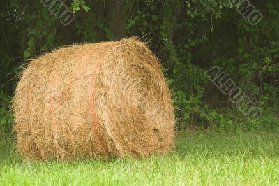 Hay Bale