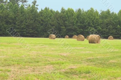 Hay Bales