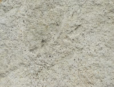 grunge concrete texture/background