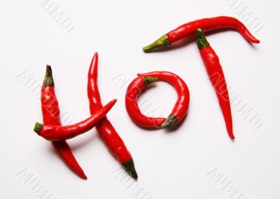 Red hot chilli peppers