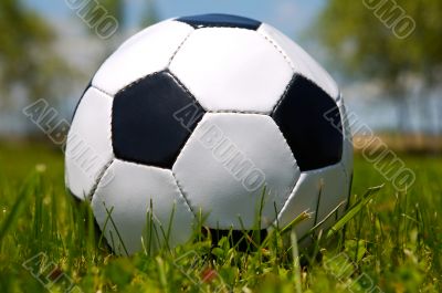 Soccer ball Soccer ball