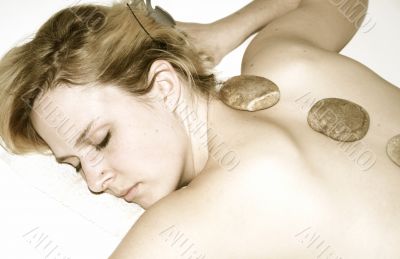 Wellness Wellness