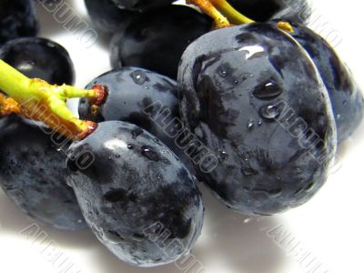 black and juicy grapes