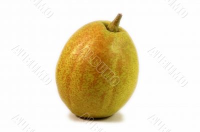 Fragrant pear