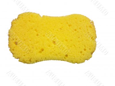 Sponge 2