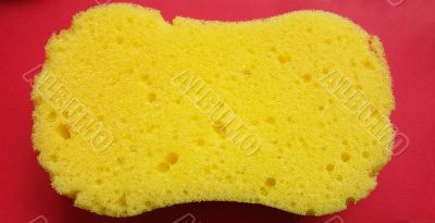 Sponge 3