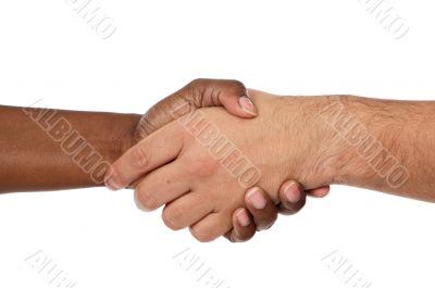 Handshake between races Handshake between races