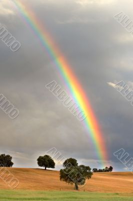 rainbow rainbow