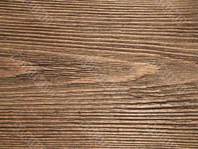 texture of wood