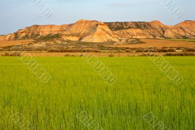 Green field and hills