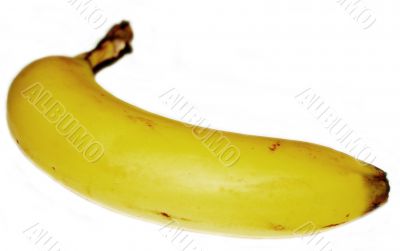 banana banana