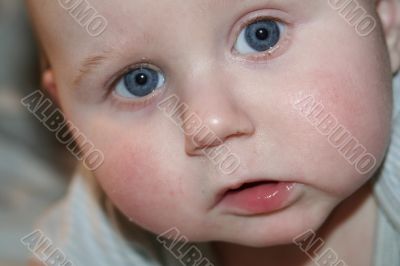 Portrait Portrait