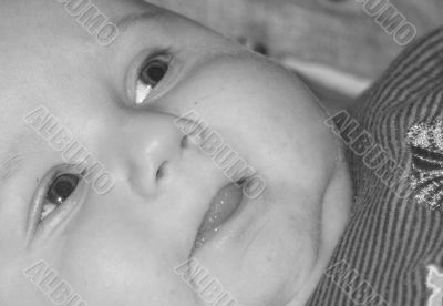 Portrait Portrait