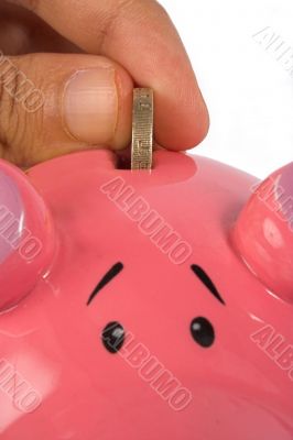 business savings on piggy bank - closeup