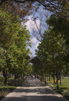 Spring in city Spring in city