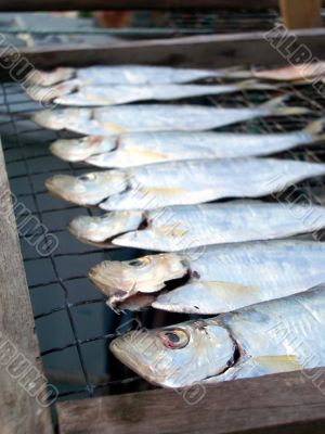 salty dried fish