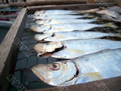 salty dried fish