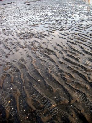 mud flats