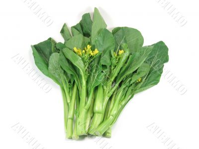 Choy sum, a kind of chinese vegetable
