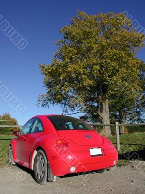 red new beetle