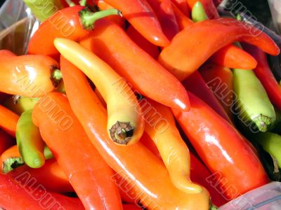 Colorful chillies